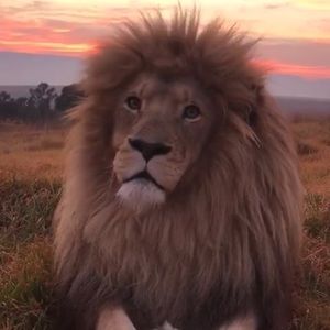 Meet your Posher, Ruben